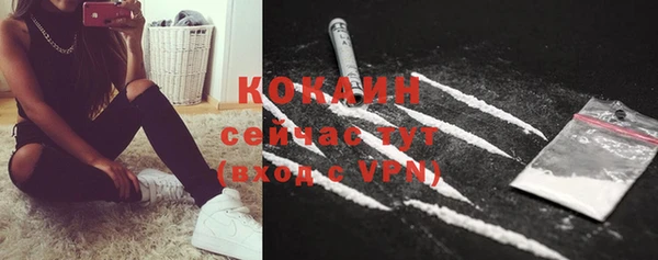 шишки Абинск