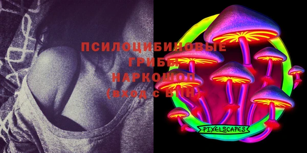 ГАЛЛЮЦИНОГЕННЫЕ ГРИБЫ Абаза