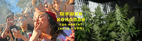 ГАЛЛЮЦИНОГЕННЫЕ ГРИБЫ Абаза