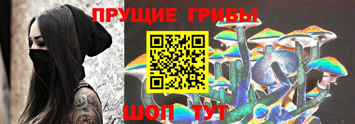 Ухта  Галлюциногенные грибы прущие грибы  Вход с VPN 